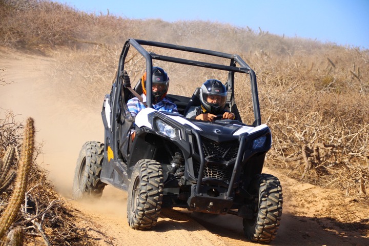 Experiences in Los Cabos